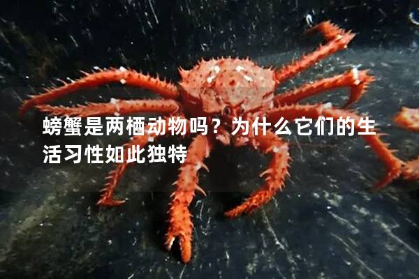 螃蟹是兩棲動物嗎？為什么它們的生活習性如此獨特